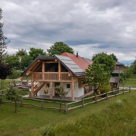 Holiday Home Virida, App Leopold III Ivancna Gorica Экстерьер фото