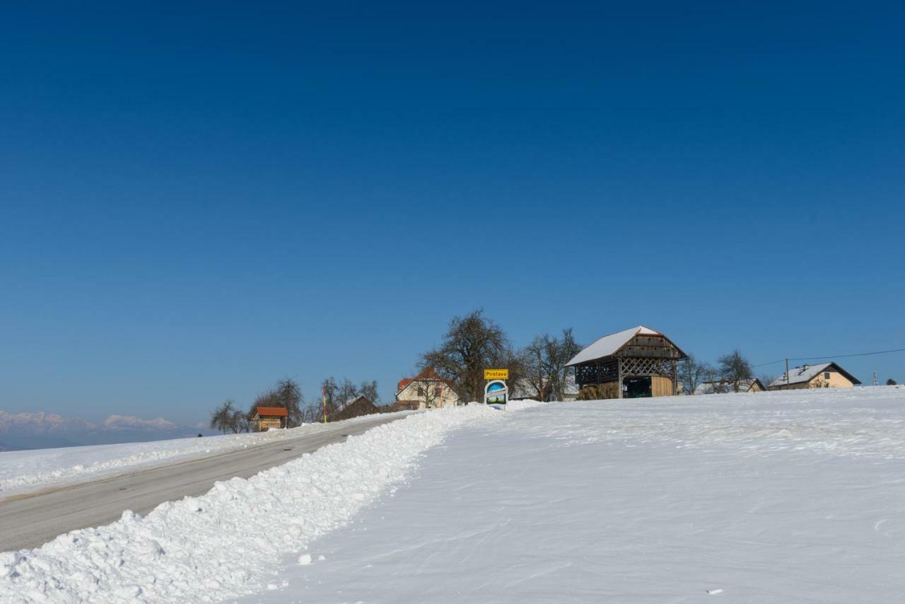 Holiday Home Virida, App Leopold III Ivancna Gorica Экстерьер фото