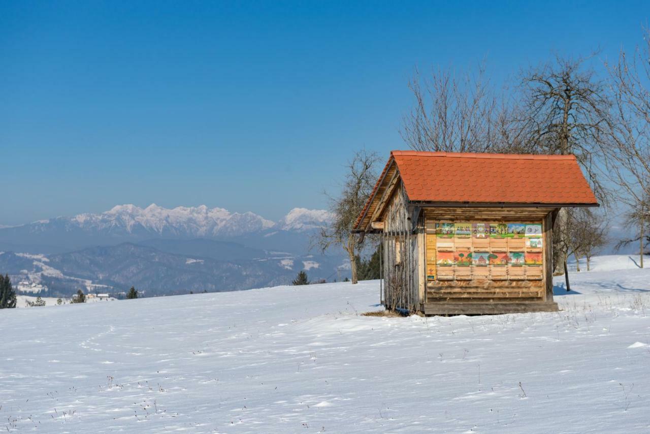 Holiday Home Virida, App Leopold III Ivancna Gorica Экстерьер фото